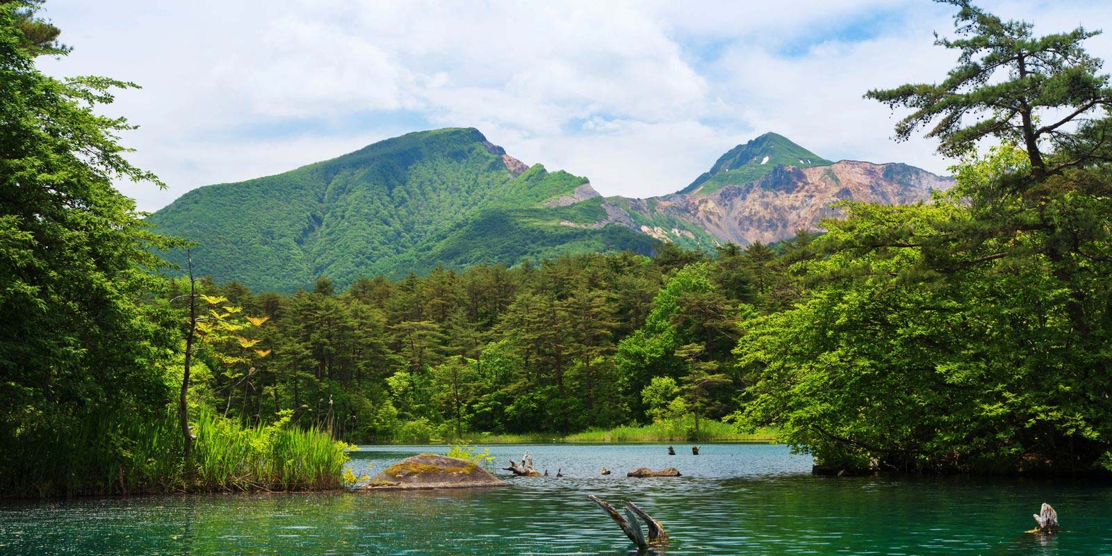 福島 裏磐梯のペットと泊まれる宿、プチホテル・フットルースのホームページ。愛犬との楽しい旅の思い出を作りませんか。東北・会津・猪苗代